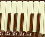 Piano Accordion Keyboard - Wood Effect Sharps & Flats